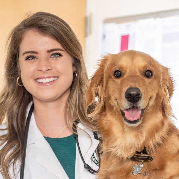 Jesup Veterinarian