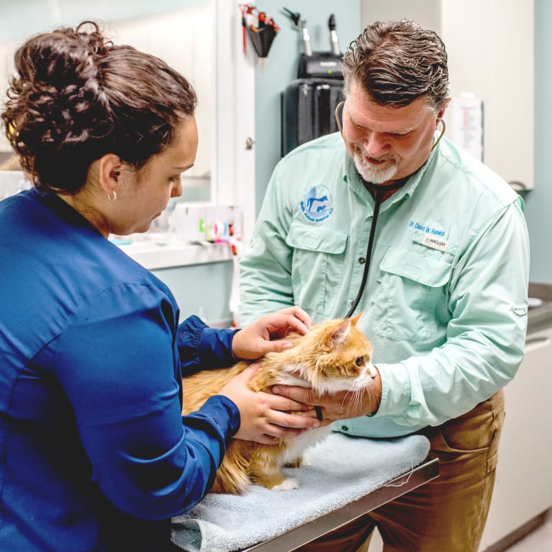 Pet Vaccinations Services in Jesup